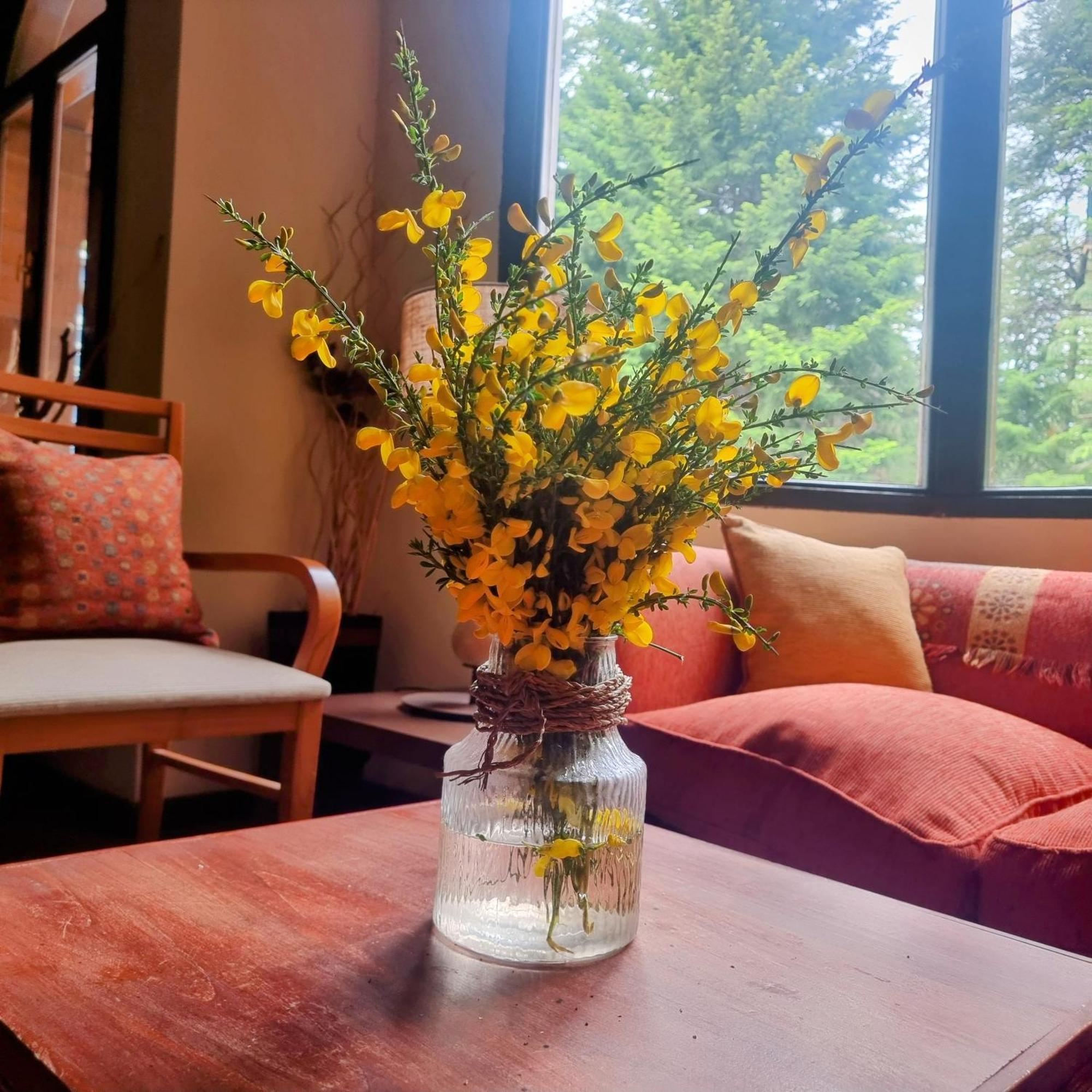 Altos Los Pioneros & Spa Villa La Angostura Kültér fotó